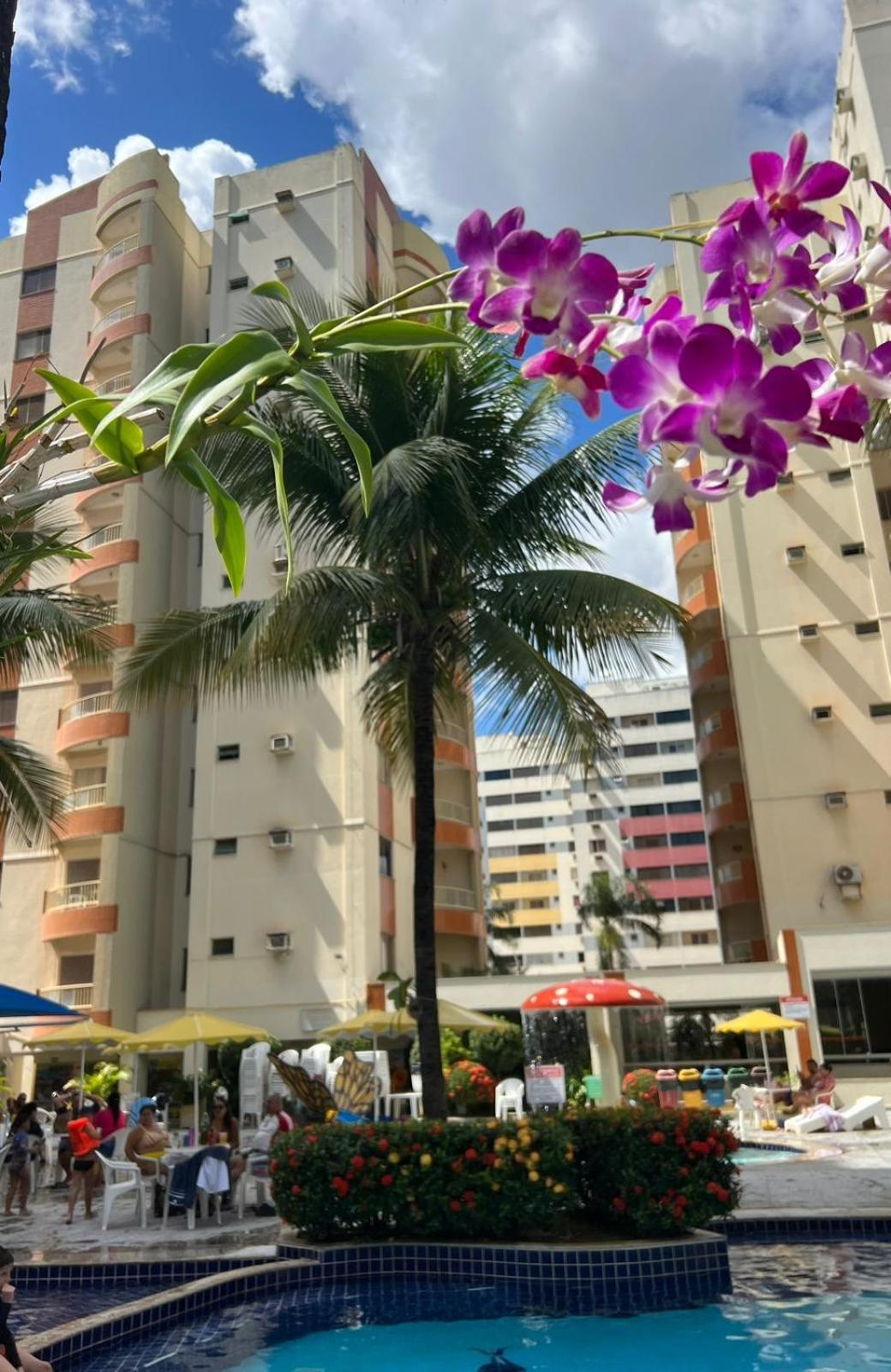 Jardins Das Thermas - Caldas Novas Vista Para Piscina エクステリア 写真